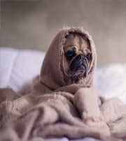 河源有这样的手机号码，留不住钱，你中枪了吗？