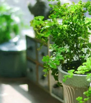 河源专属于你的开运指南，助你鸿运当头福满身！