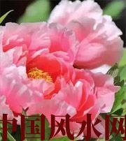 河源预示你财运上升，姻缘可成的梦境，快来看看吧！