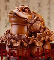 河源解读金蟾最合适的位置，这样摆放更招财！